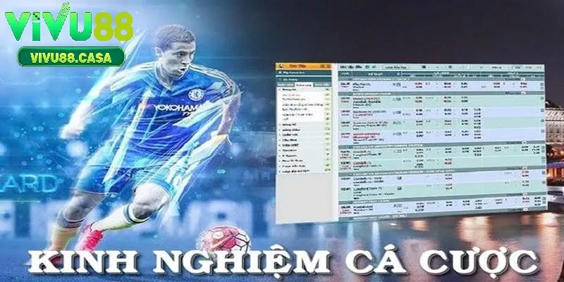 Kinh Nghiệm Cá Cược Tại Vivu88 – Cẩm Nang Cho Người Chơi Thông Thái
